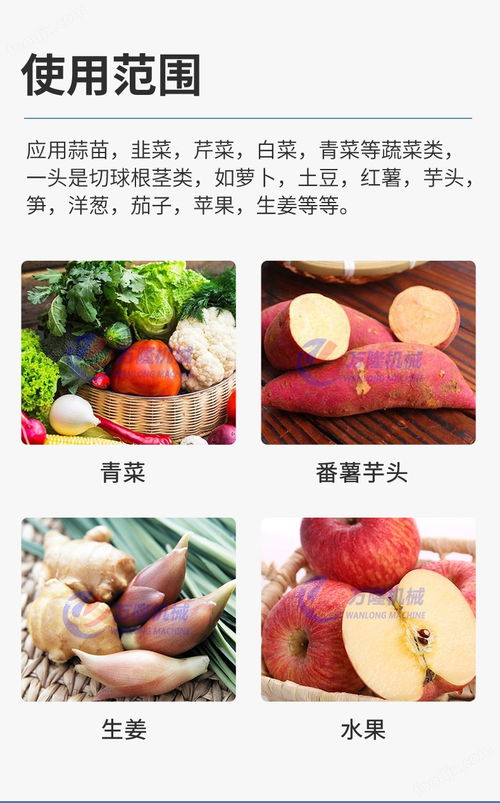 大型蒜泥打碎機 多功能果蔬加工設備的革新應用